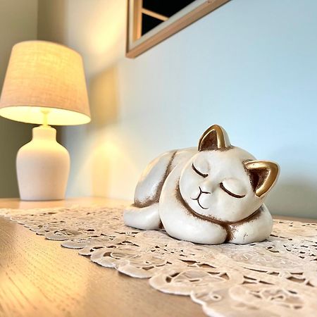 Miramare - Welchome 포사세시아 외부 사진